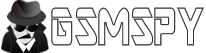 Logo de GsmSpy