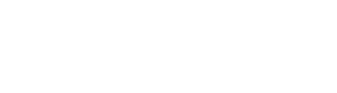 logo spygate